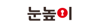 대교 눈높이