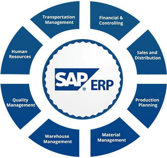 SAP ERP Service