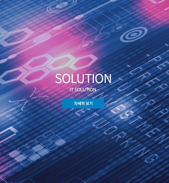 SOLUTION